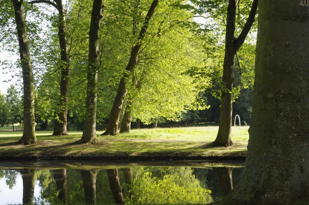 Photo du Parc de l'Abbaye de Maubuisson prise par Catherine Brossais. Ou si vous voulez vous posez dans un coin paisible, voici la sélection de certains de l'agglo ! Cergy, Axe majeur ; St Ouen l'aumône, le parc de l'Abbaye de Maubuisson, le Parc de Grouchy à Osny et le parc du château à Pontoise. 