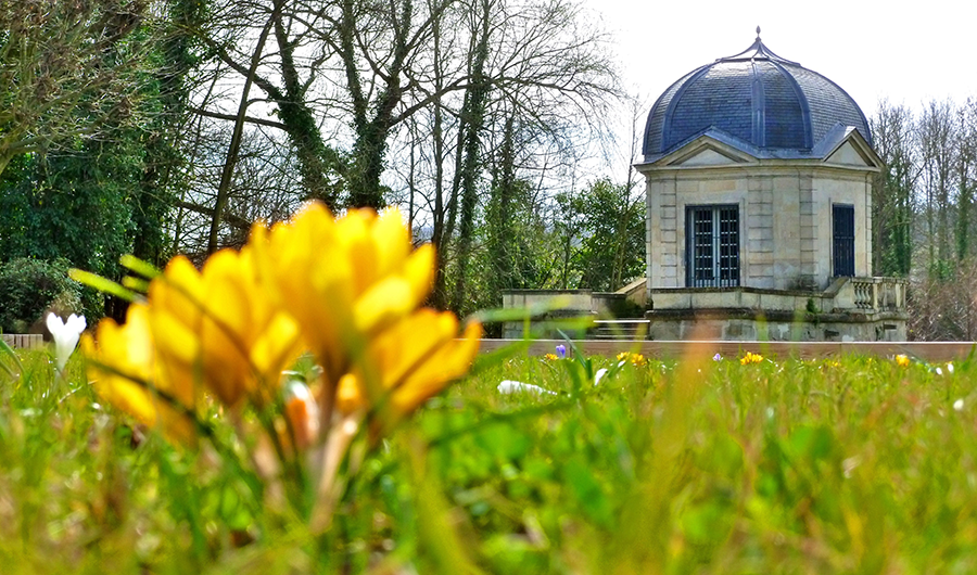 Au premier plan, une fleur, au second plan le pavillon d'amour à Neuville-sur-Oise